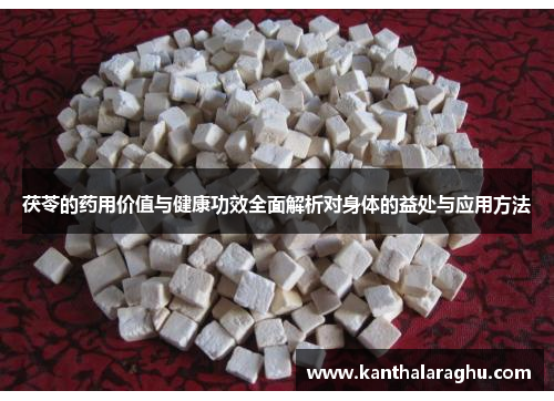 茯苓的药用价值与健康功效全面解析对身体的益处与应用方法